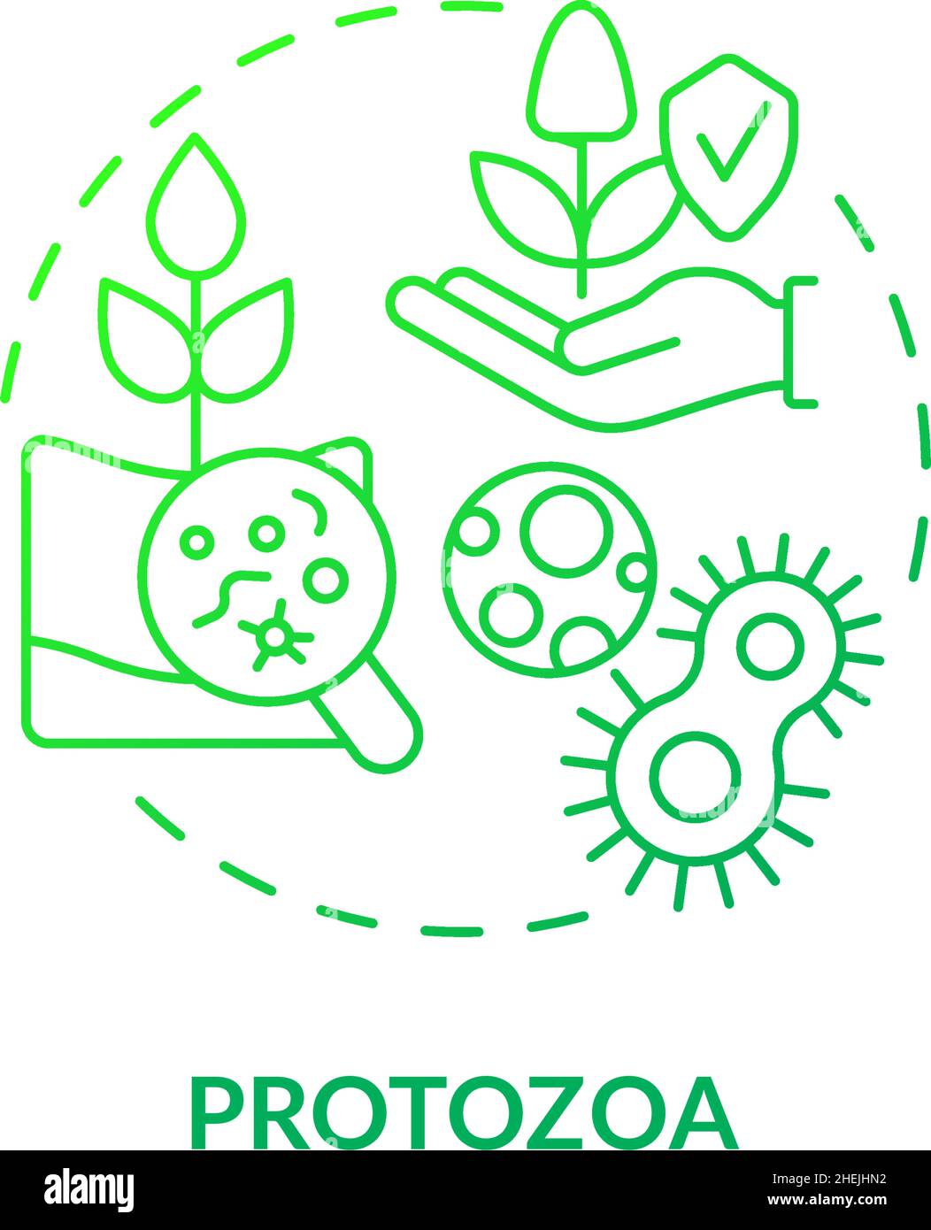 Protozoa green gradient concept icon Stock Vector
