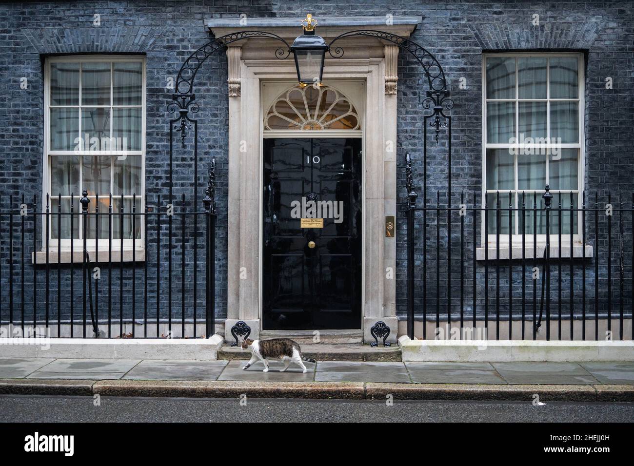 WESTMINSTER, LONDON,UK. 11 January 2022. Larry the cat walks past the door of 10 Downing street. Prime Minister Boris Johnson is coming under pressure as the police consider conducting an investigation into a lockdown party which took place on 20 May 2020 when  it is alleged Downing street private secretary Martin  Reynolds invited more than 100 government employees to 'bring your own booze' at a garden party .Credit: amer ghazzal/Alamy Live News Stock Photo