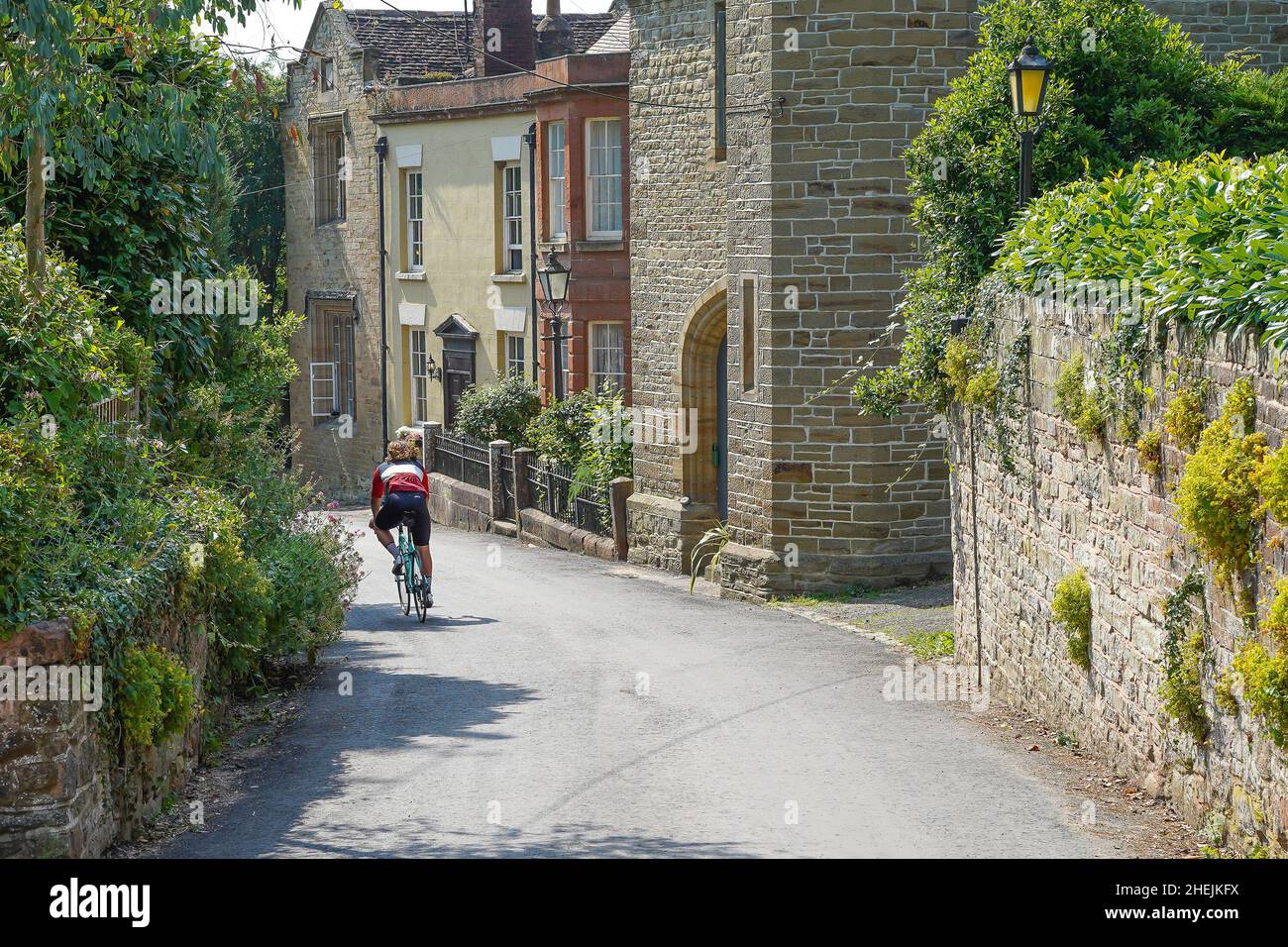 Rear view of male cyclist cycling on country lane through English village in summer sunshine. Stock Photo