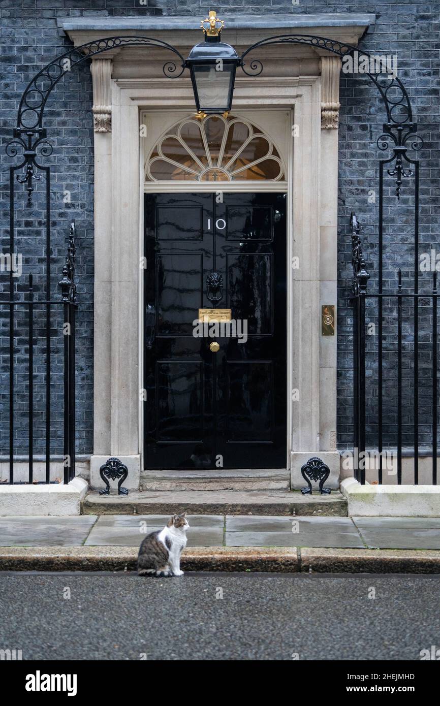 WESTMINSTER, LONDON,UK. 11 January 2022. Larry the cat sits in front of  the door of 10 Downing street. Prime Minister Boris Johnson is coming under pressure as the police consider conducting an investigation into a lockdown party which took place on 20 May 2020 when  it is alleged Downing street private secretary Martin  Reynolds invited more than 100 government employees to 'bring your own booze' at a garden party .Credit: amer ghazzal/Alamy Live News Stock Photo