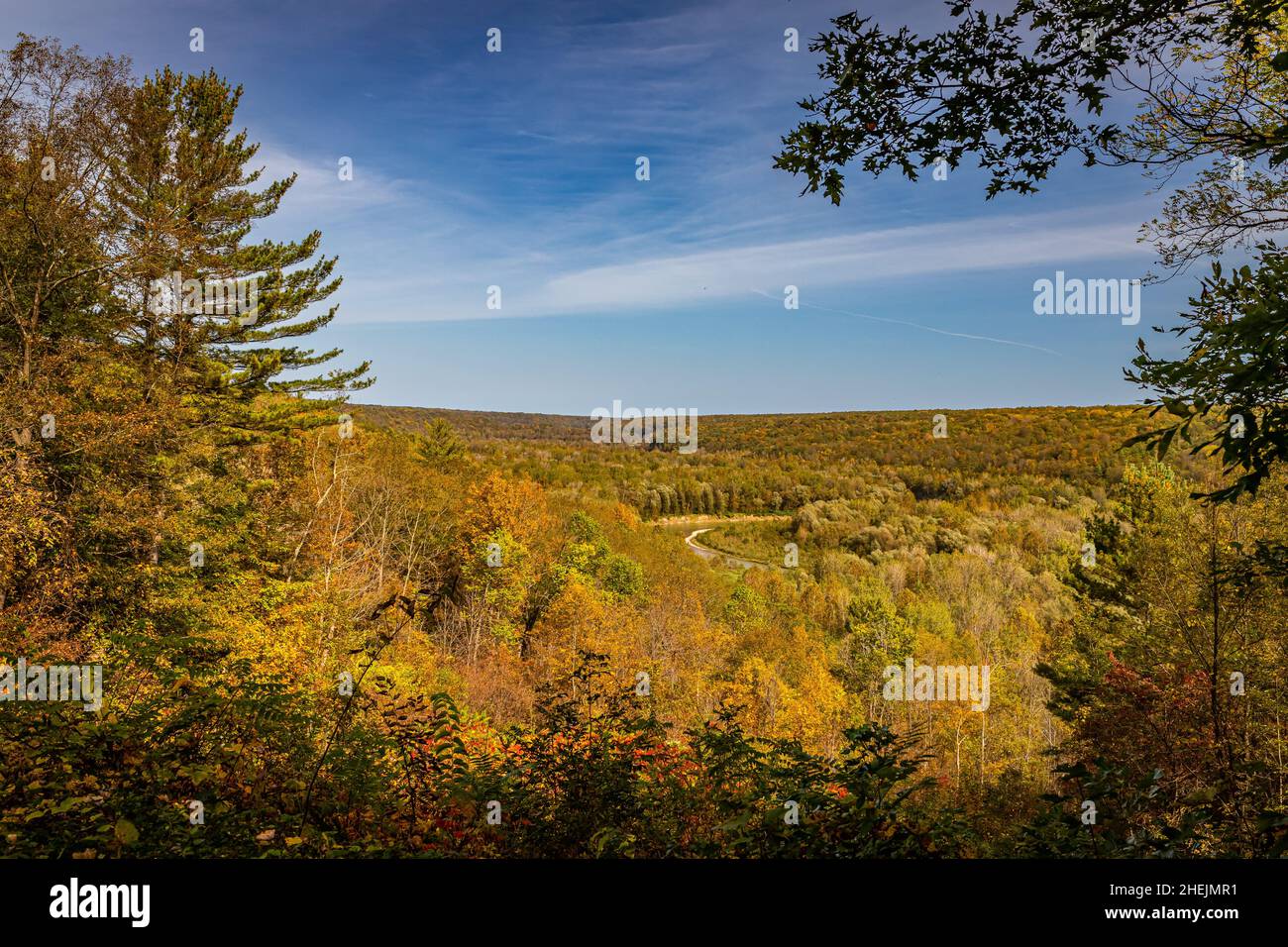 Common View Letchworth The view from Gardeau Overlook to the Genesee River as it winds through ...