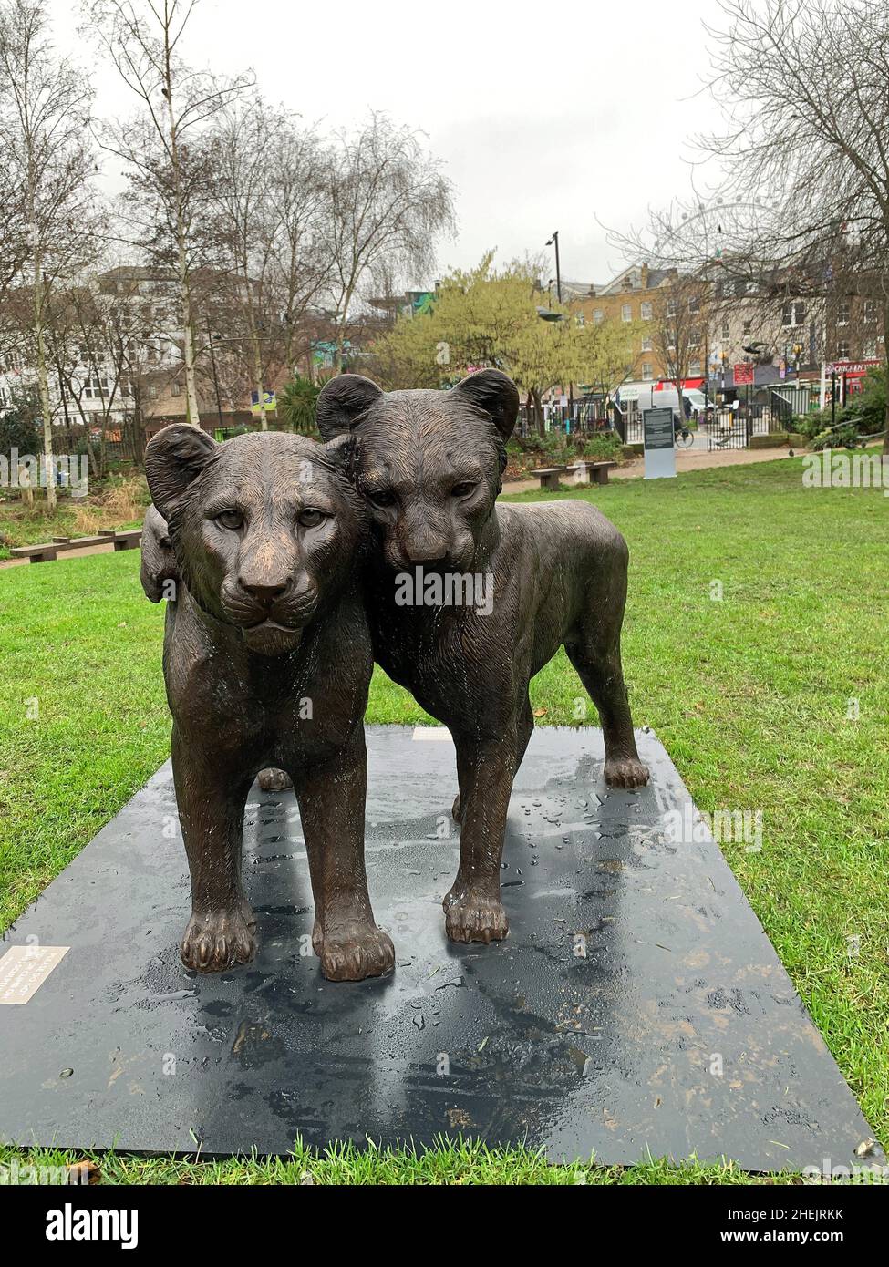Waterloo, London 2022. Born Free Foundation and Artists Gillie and Marc have put on an axhibition with sculptures of playful lion cubs to raise awaren Stock Photo