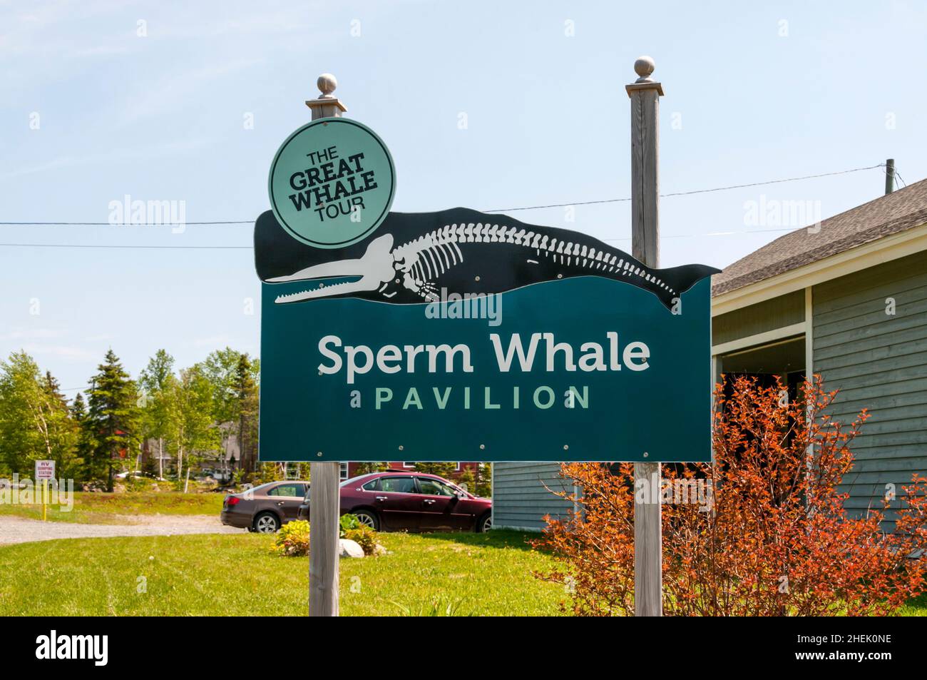 Triton Sperm Whale Pavilion, Newfoundland. Stock Photo