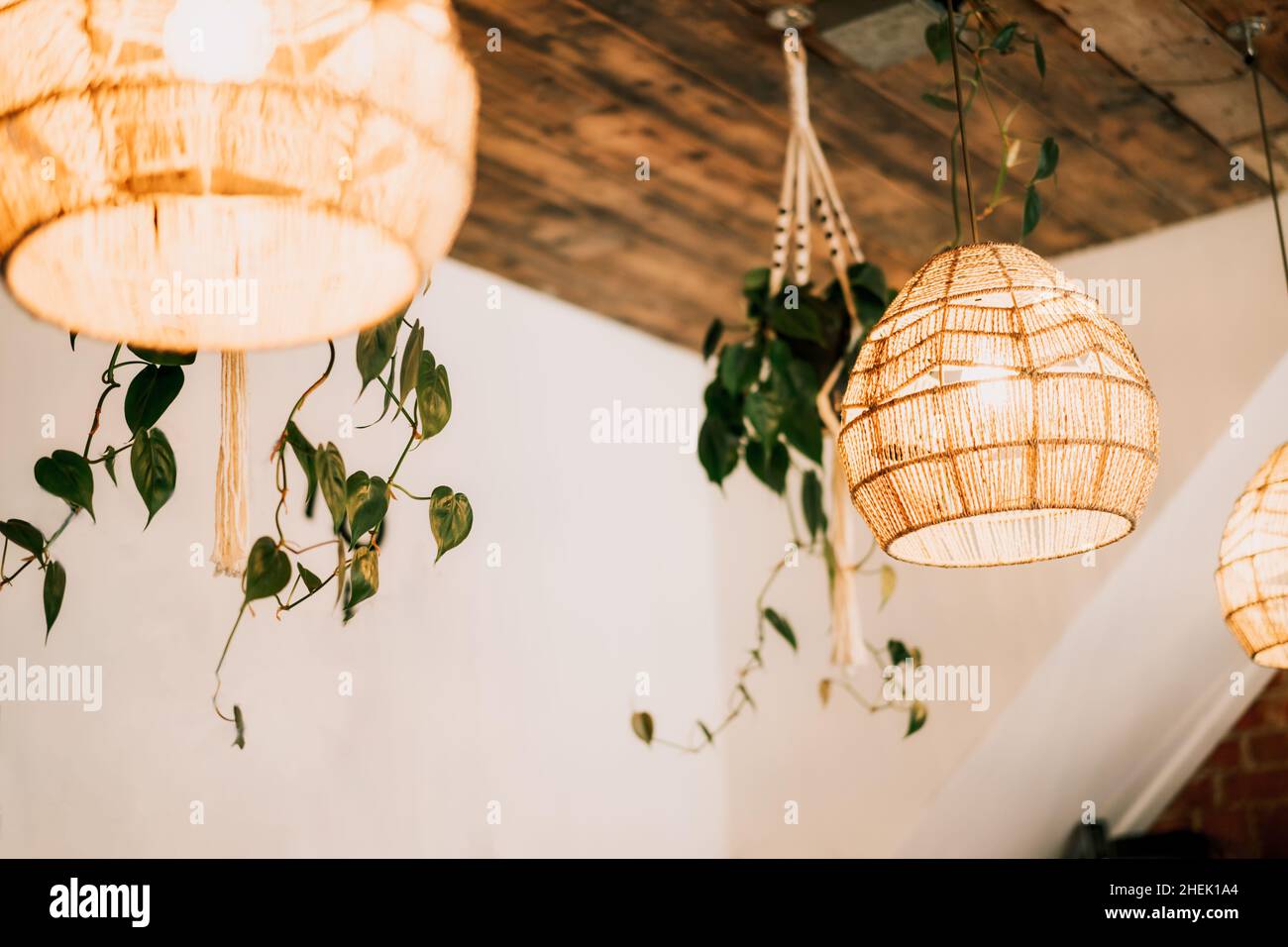 Wicker handmade chandelier lamps on the wooden ceiling, hanging flower pots with green plants on the white wall background. Eco natural trendy style. Stock Photo