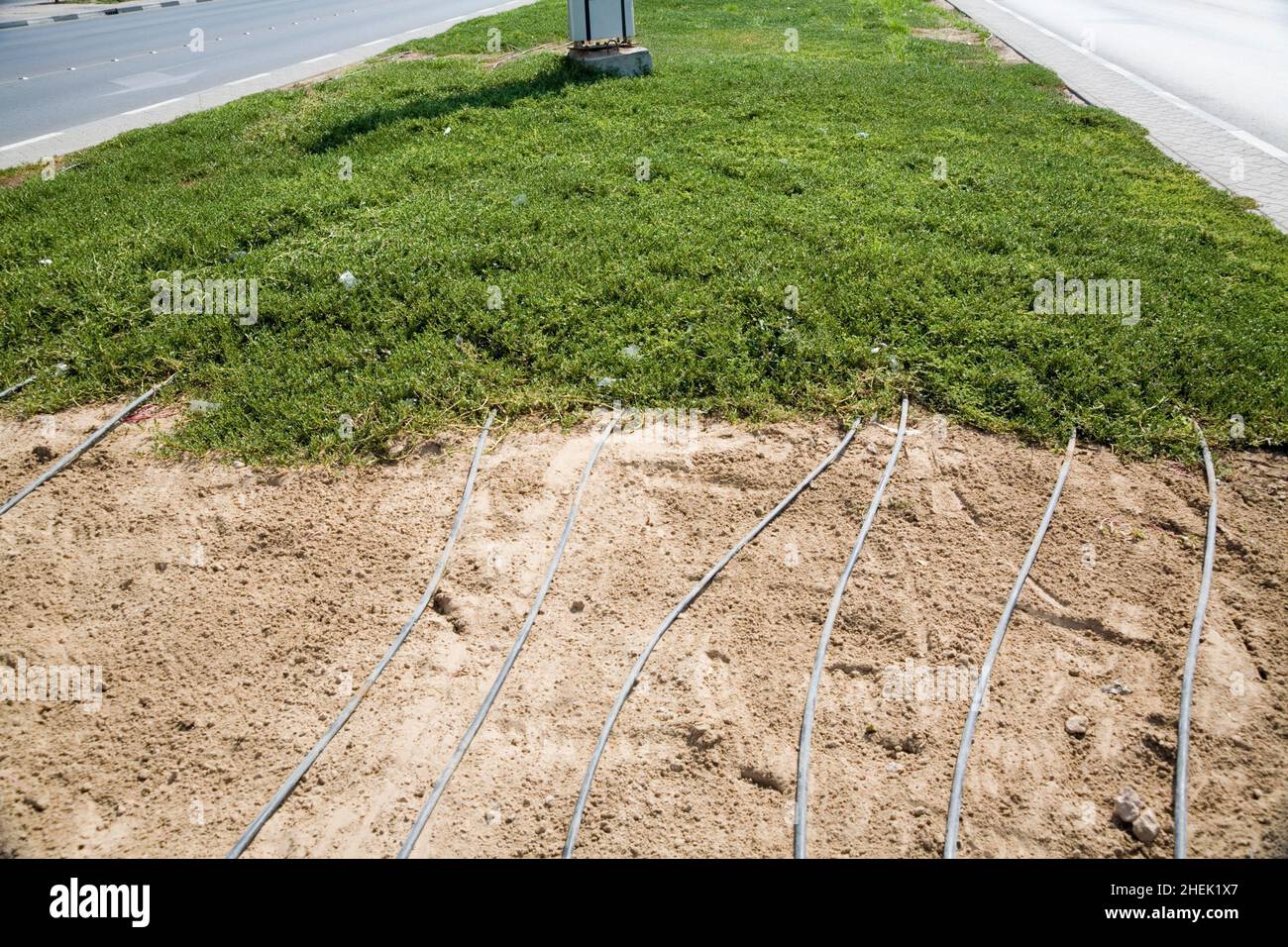 The effect of a failure in an irrigation system for the grass central reservation on a road in