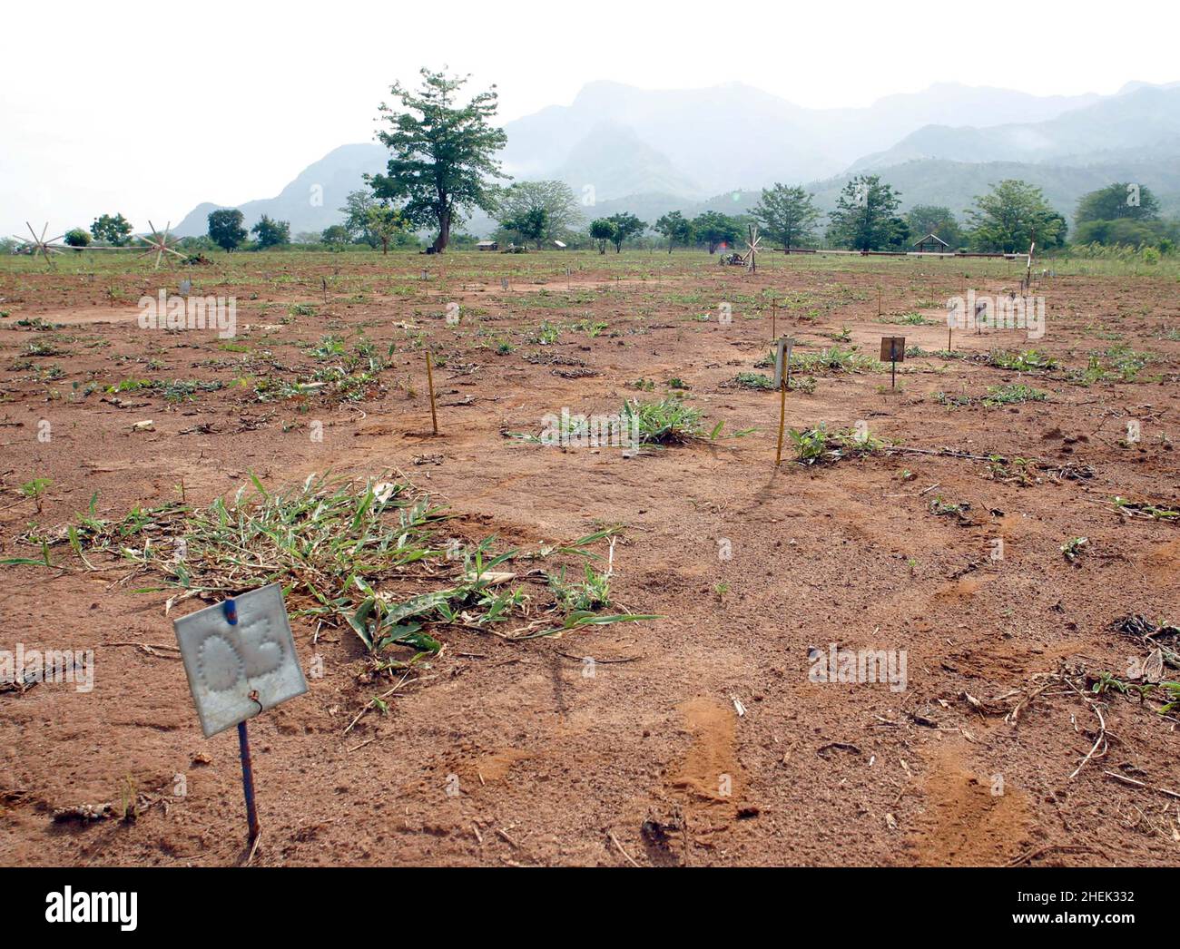 SIMULATED MINEFIELD WITH DISARMED MINES AT THE APOPO TRAINING CENTRE, SOKOINE UNIVERSITY OF AGRICULTURE, MOROGORO, TANZANIA. AT THE CENTRE THE BELGIUM COMPANY (APOPO), THE BRAINCHILD OF BART WEETJENS, IS TRAINING RATS TO DETECT LANDMINES FOR USE IN WAR TORN REGIONS. Stock Photo