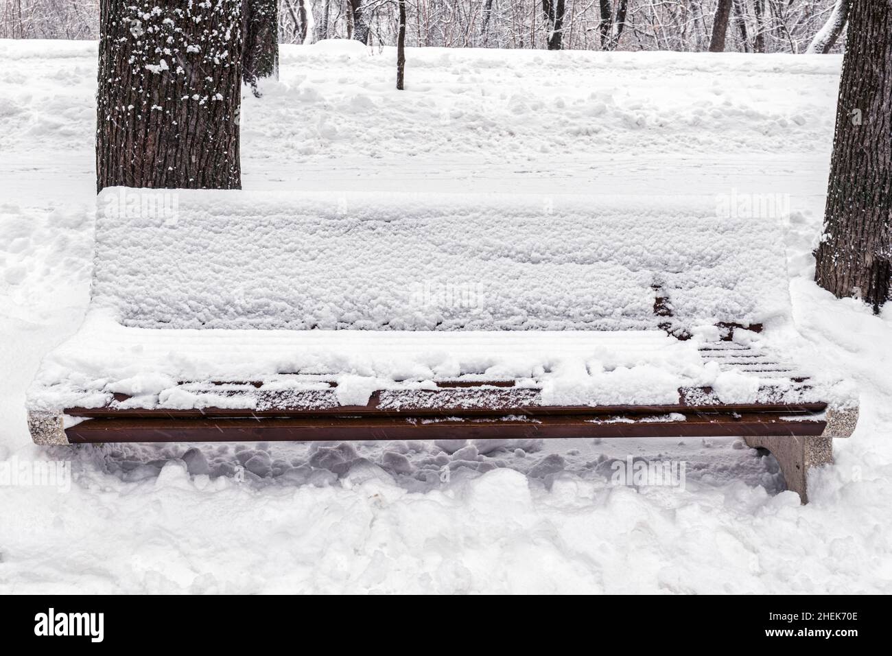 A bench in the park covered with snow in winter. Winter weather and ...