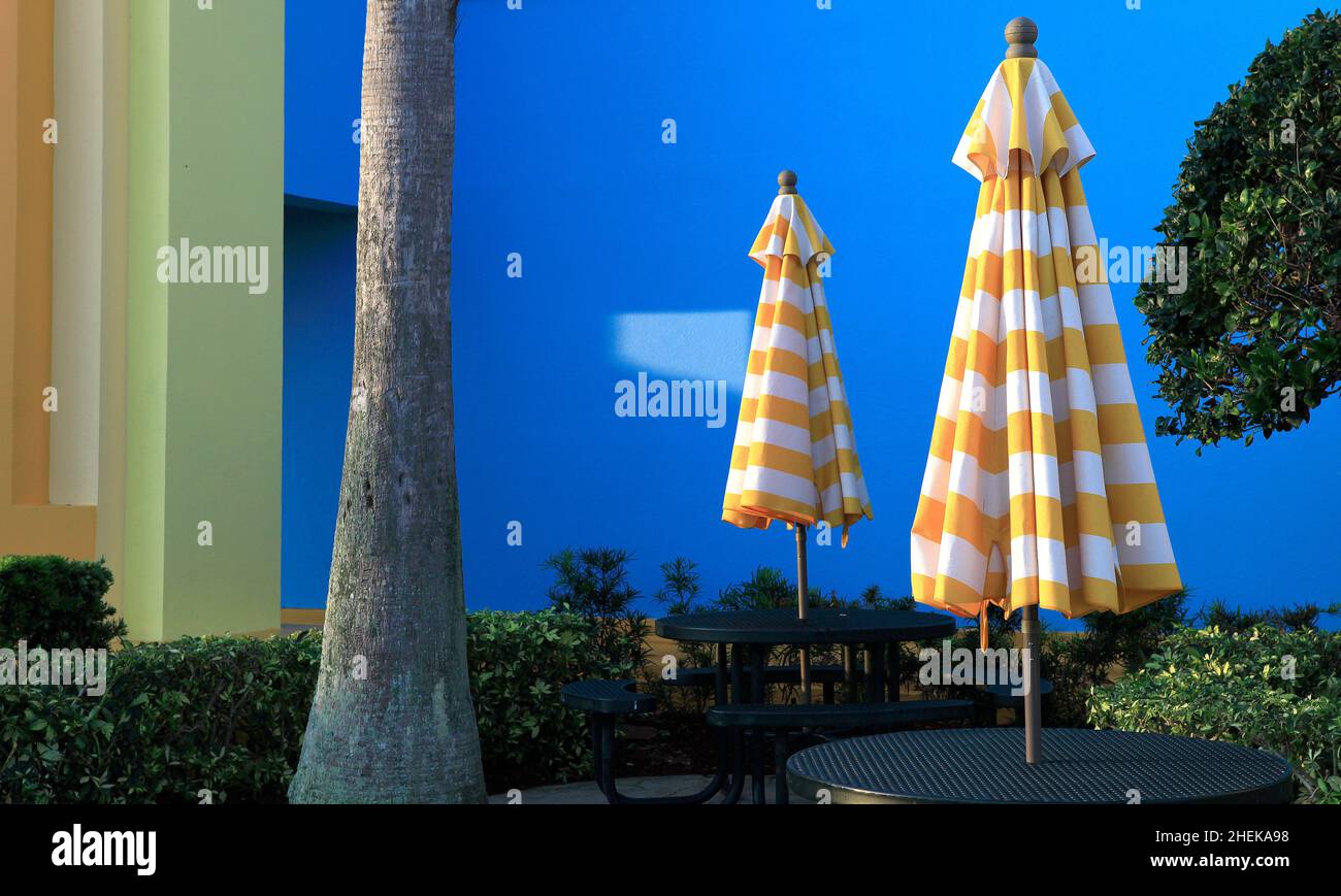 decorative colors in Cocoa beach, florida, usa Stock Photo Alamy