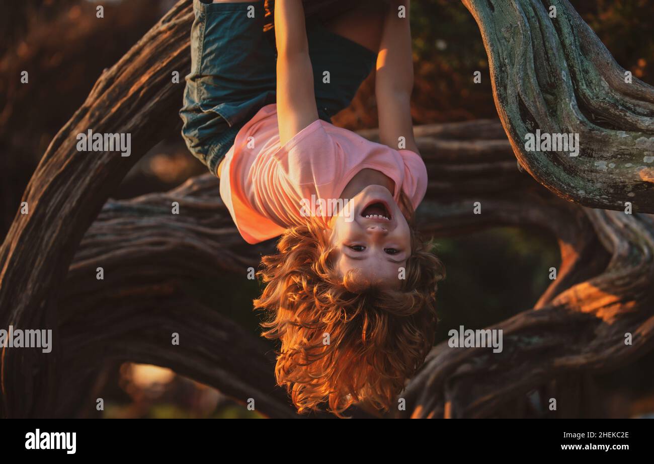 Little boy facing challenge trying to climb a tree upside down. Stock Photo