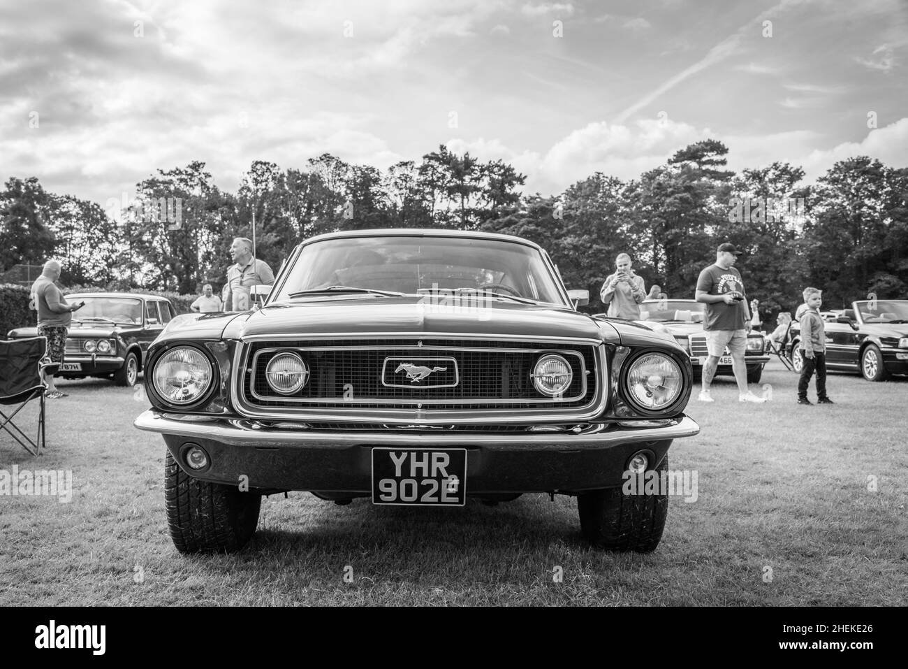 Ford Mustangs on display Stock Photo