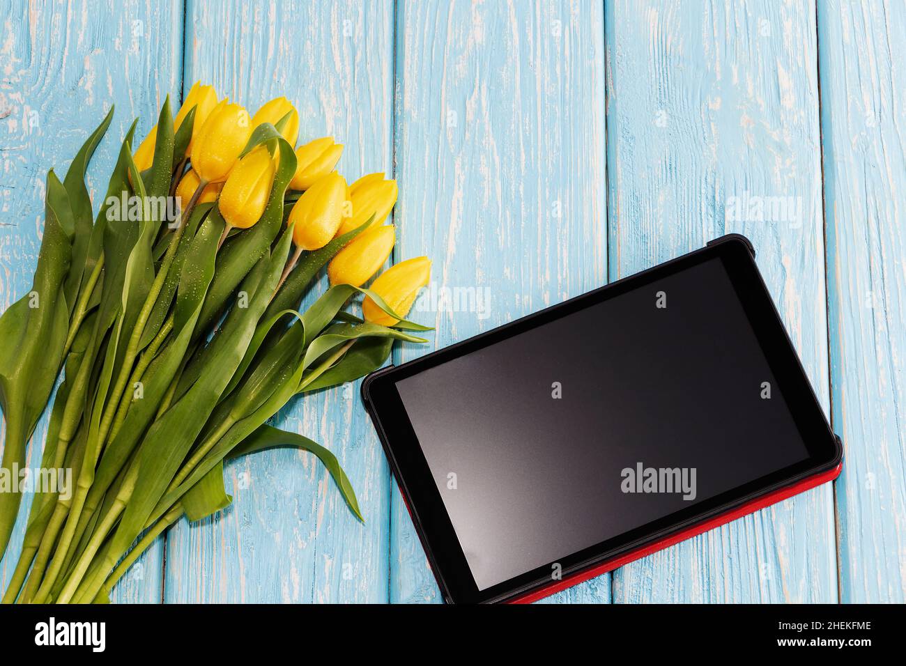 the concept of Mother's Day, March 8, Valentine's Day. a tulip flower on a pastel blue wooden background, next to a tablet computer with space for tex Stock Photo