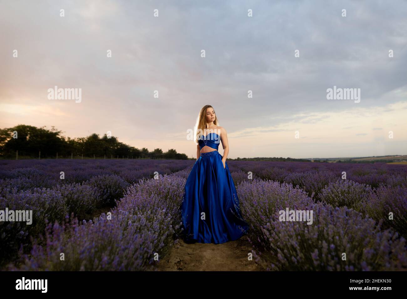 Young woman in a luxurious blue dress standing in a lavender field against the background of the sky. Stock Photo