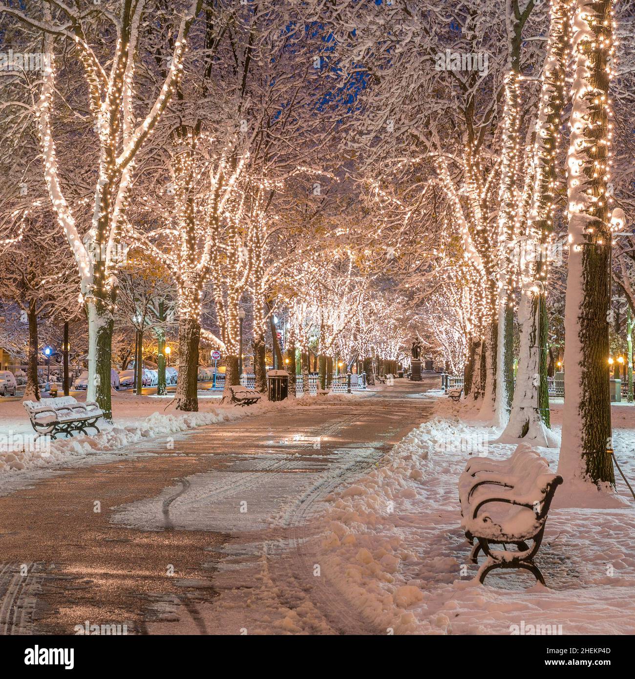 Boston Christmas Lights Stock Photo Alamy