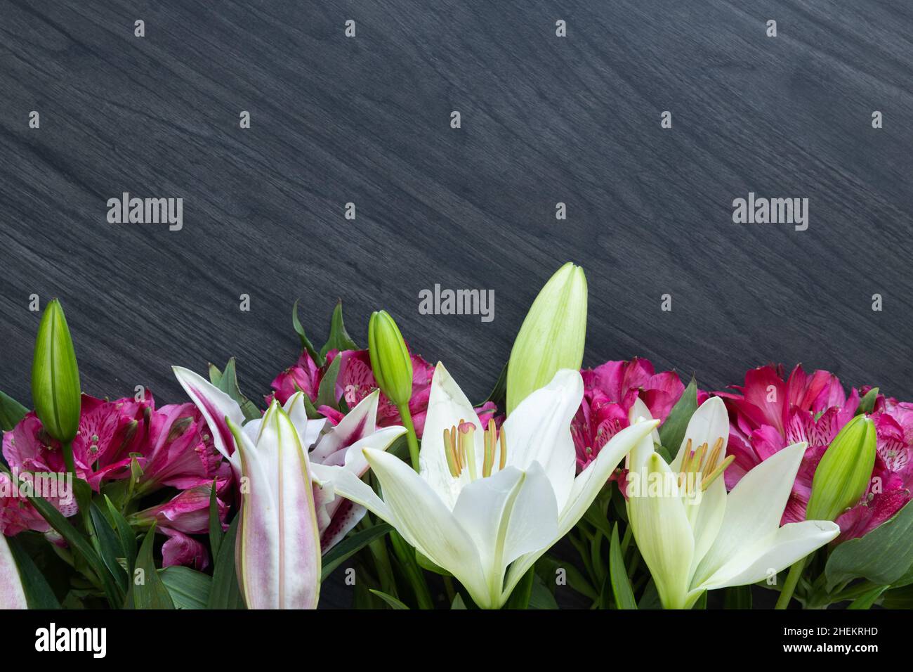 Spring flower border of vibrant pink alstroemeria flowers and white and asiatic lily flowers on a dark wood background with copy space Stock Photo