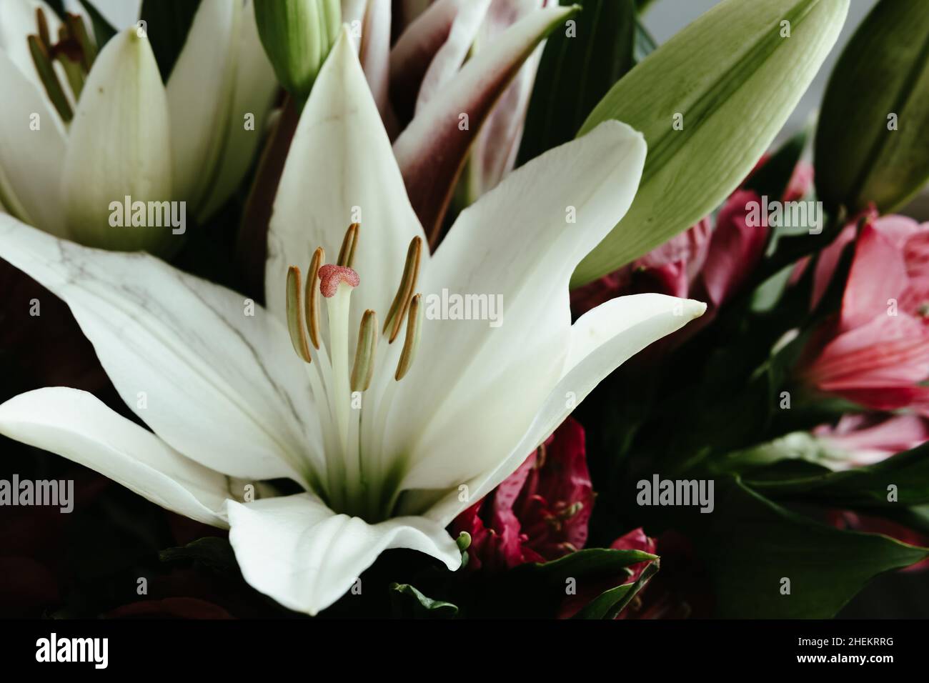 Fresh lily and pink alstroemeria flower bouquet on a dark wood background with copy space Stock Photo