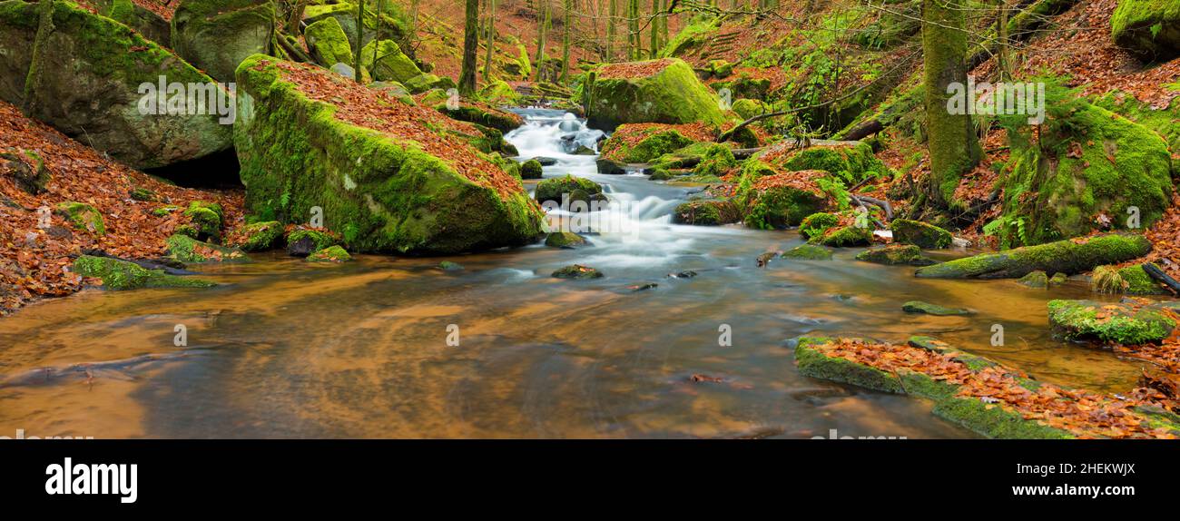 Panorama of mountain stream in autumn - Karlstal - Germany Stock Photo