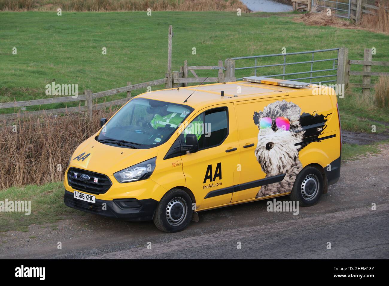 AA BREAKDOWN FORD TRANSIT VAN FEATURING TUKKER THE DOG Stock Photo Alamy