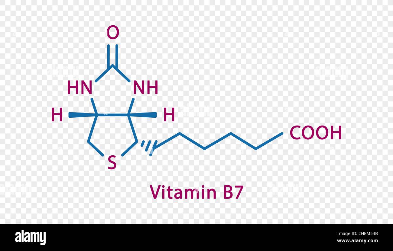 Vitamin B7 chemical formula. Vitamin B7 structural chemical formula isolated on transparent