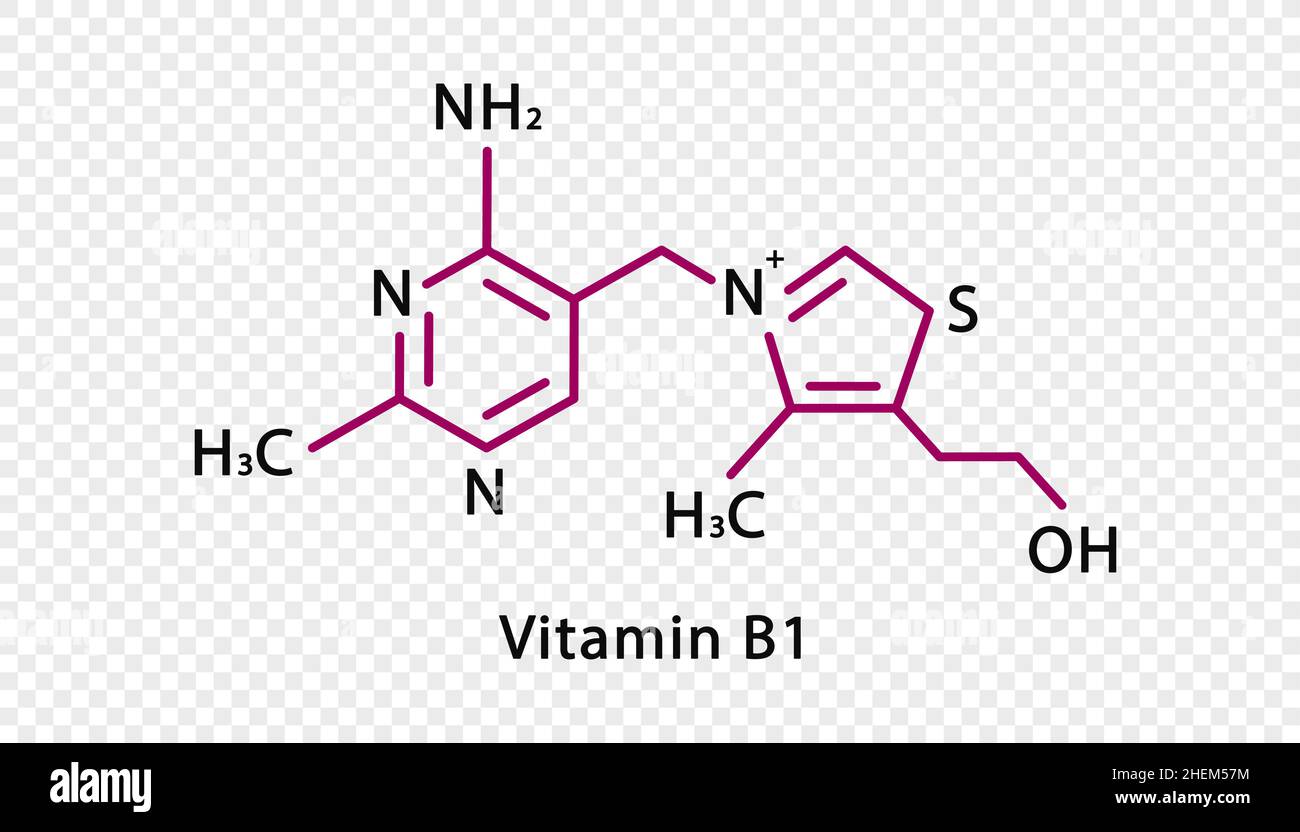 Vitamin B1 chemical formula. Vitamin B1 structural chemical formula
