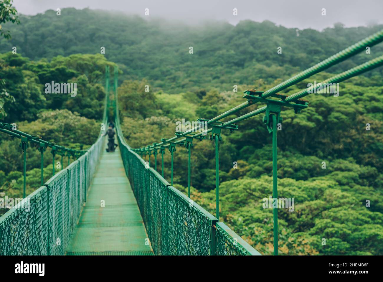 Costa Rica travel hiking destination in Central America. Forest of Parque Nacional Corcovado. Suspended bridge in rainforest Stock Photo