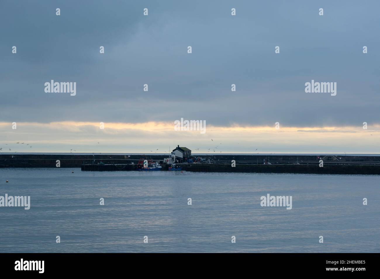 Lyme Regis, Dorset. 11th January 2022. UK Weather The dull and dreary