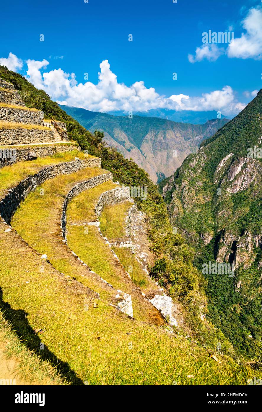 Machu picchu terraces hi-res stock photography and images - Alamy