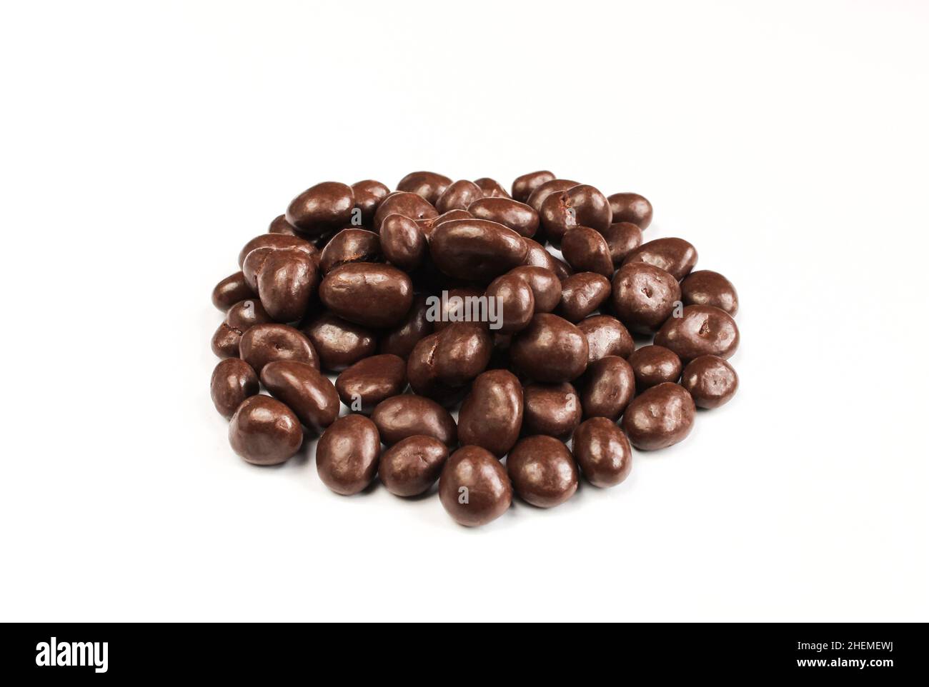 Can I Feed My Dog Chocolate Covered Raisins