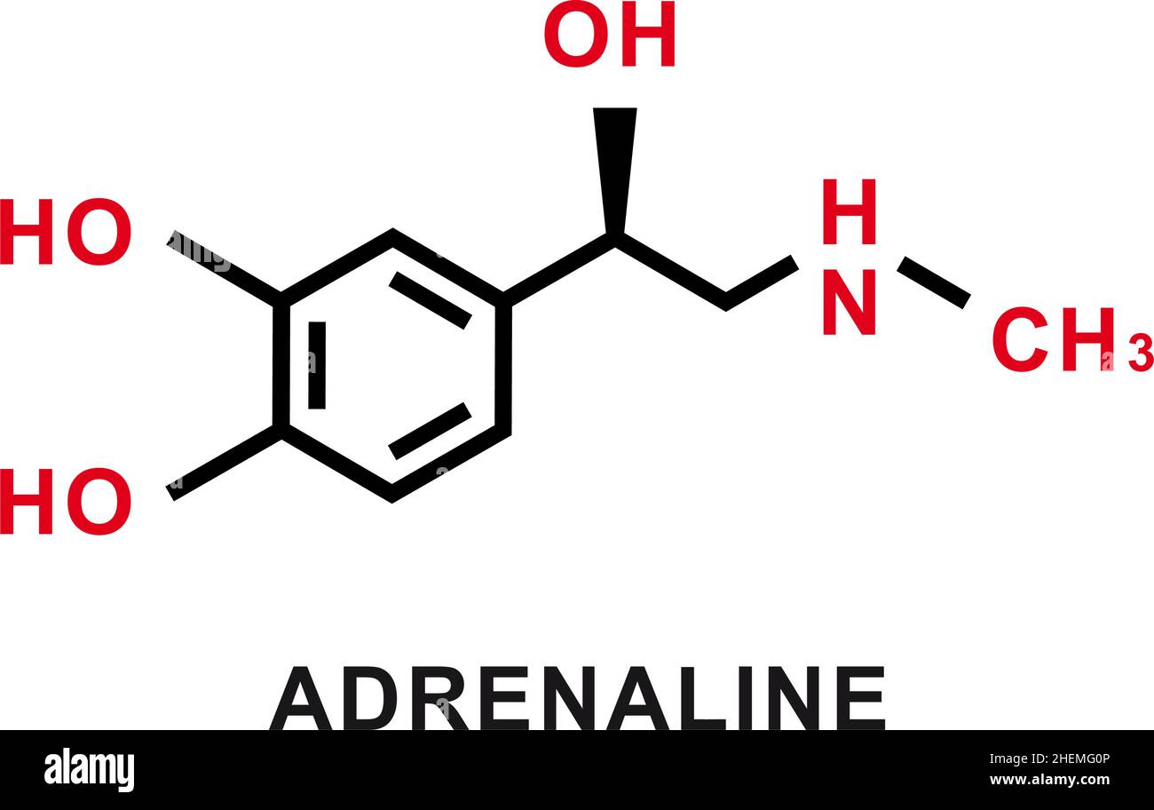 Adrenaline chemical formula. Adrenaline chemical molecular structure. Vector illustration Stock Vector
