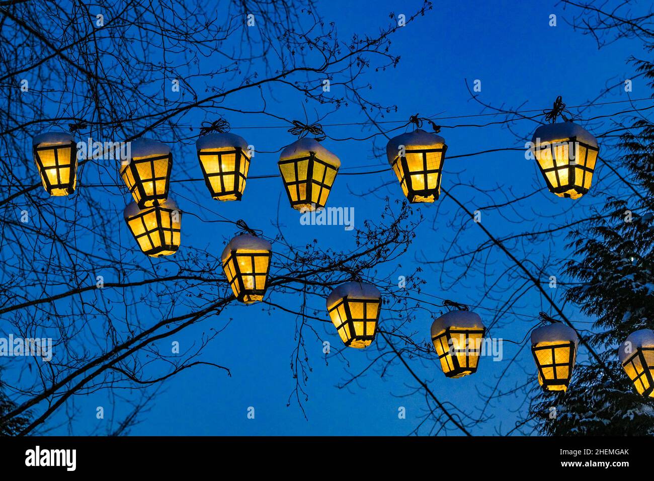 Holiday Lanterns, Lafarge Lake, Town Centre Park, Coquitlam, British Columbia, Canada. Stock Photo