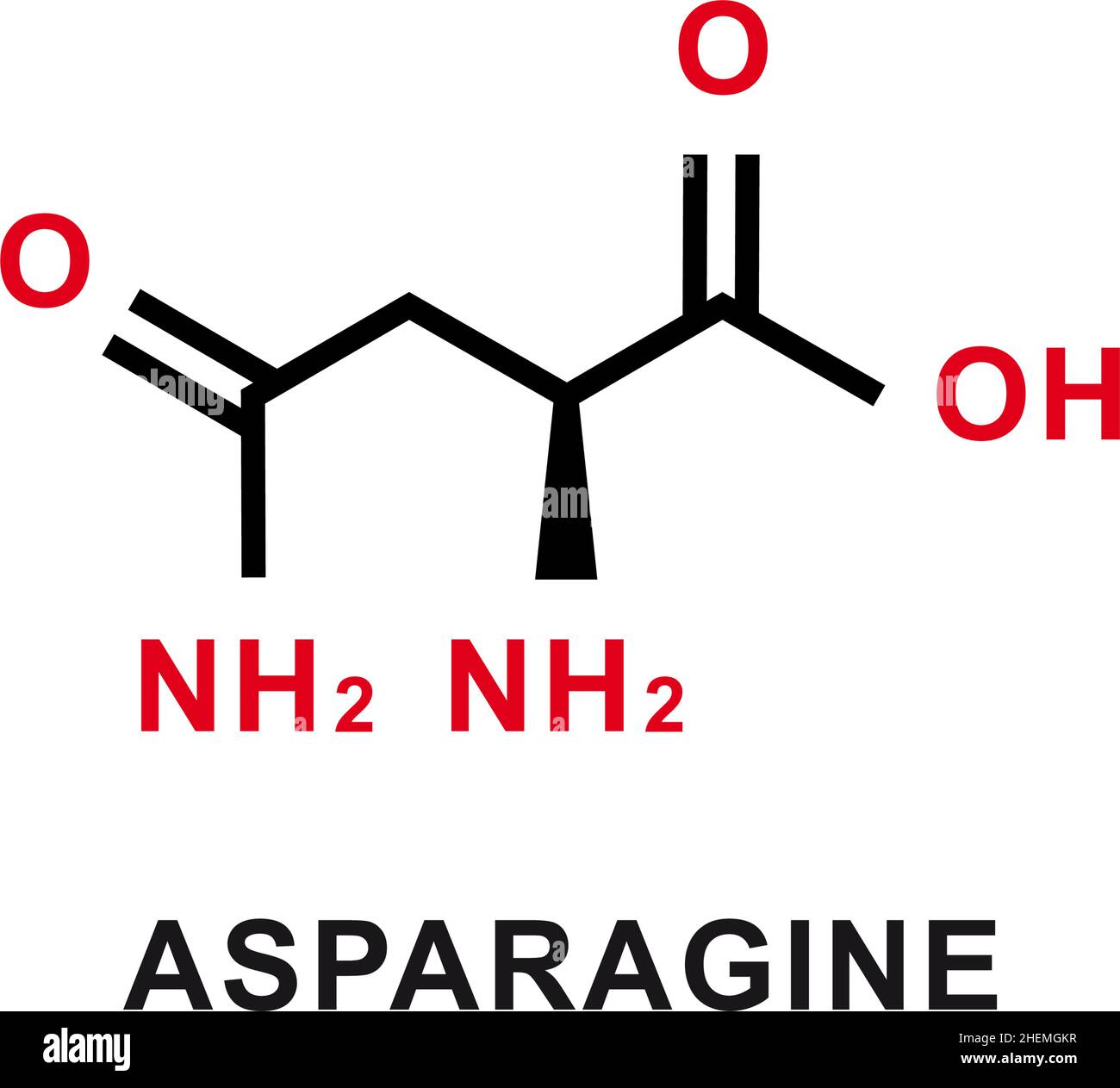Asparagine chemical formula. Asparagine chemical molecular structure. Vector illustration Stock Vector