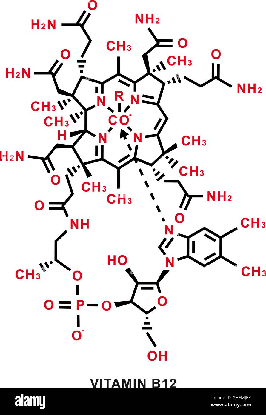 Vitamin B12 chemical formula. Vitamin B12 chemical molecular structure. Vector illustration Stock Vector