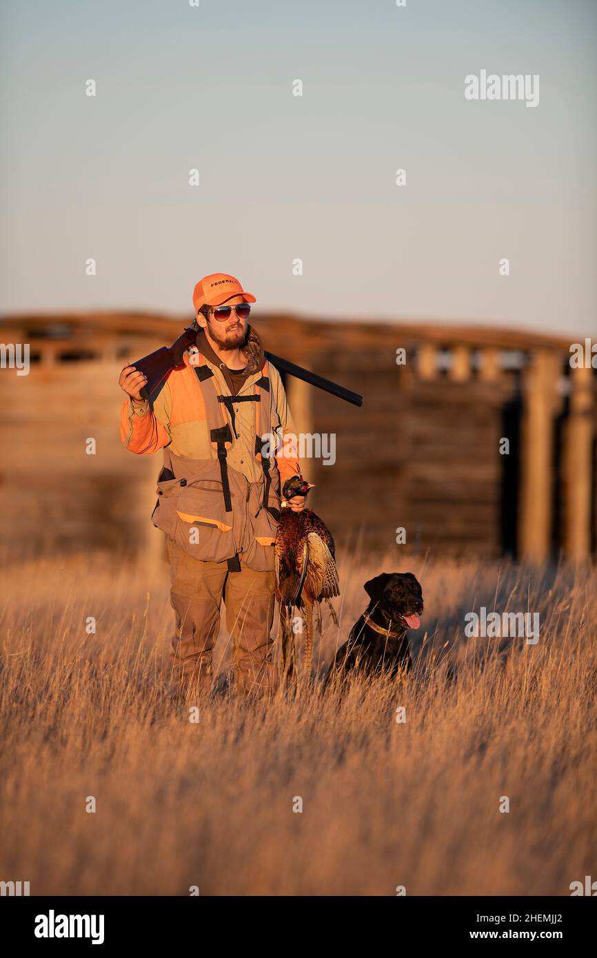 A Pheasant hunter and his dog with some wild North Dakota Roosters Stock Photo