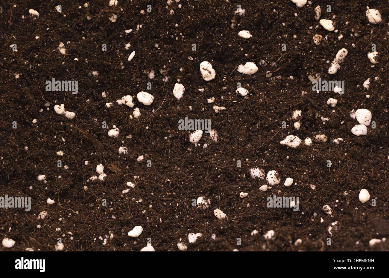 Perlite compost hi-res stock photography and images - Alamy