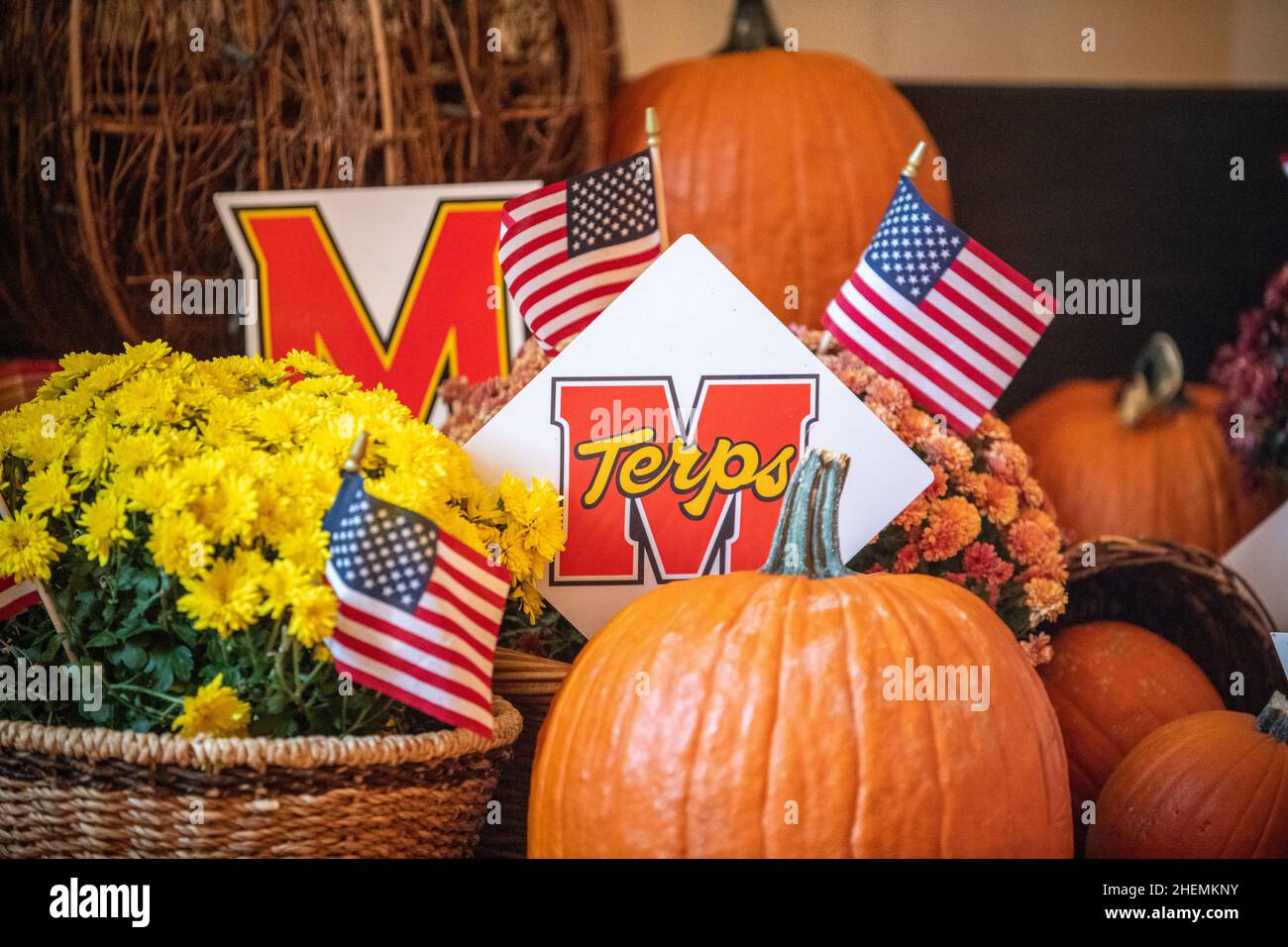 An autumn themed Maryland Terrapins display Stock Photo