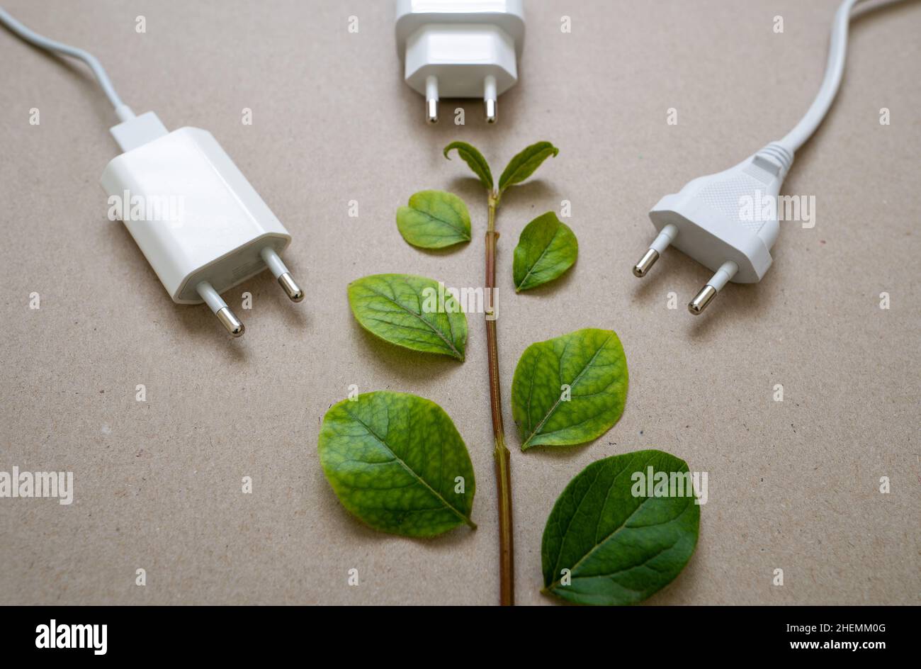Close up photo of multiple unplugged charging sockets and green leaves. Concept of energy saving and reduce electricity usage. Stock Photo