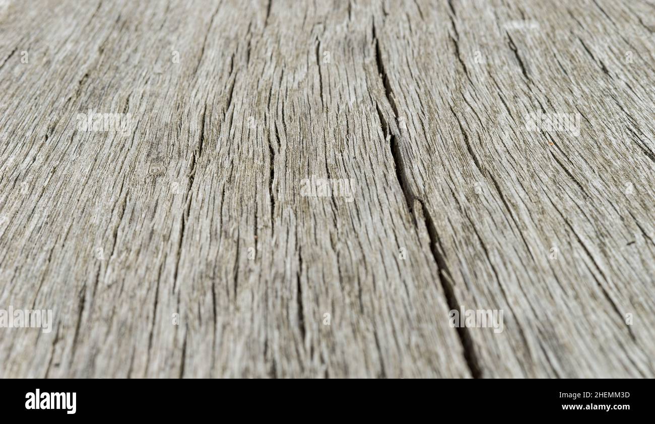 Background of cracked, old wood Stock Photo