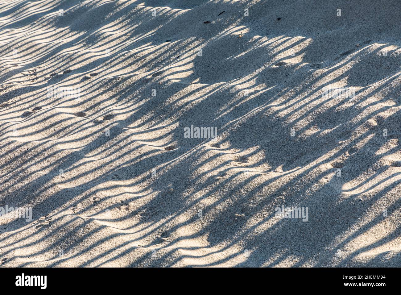 harmonic pattern with stripes of shadow at the sandy beach Stock Photo ...