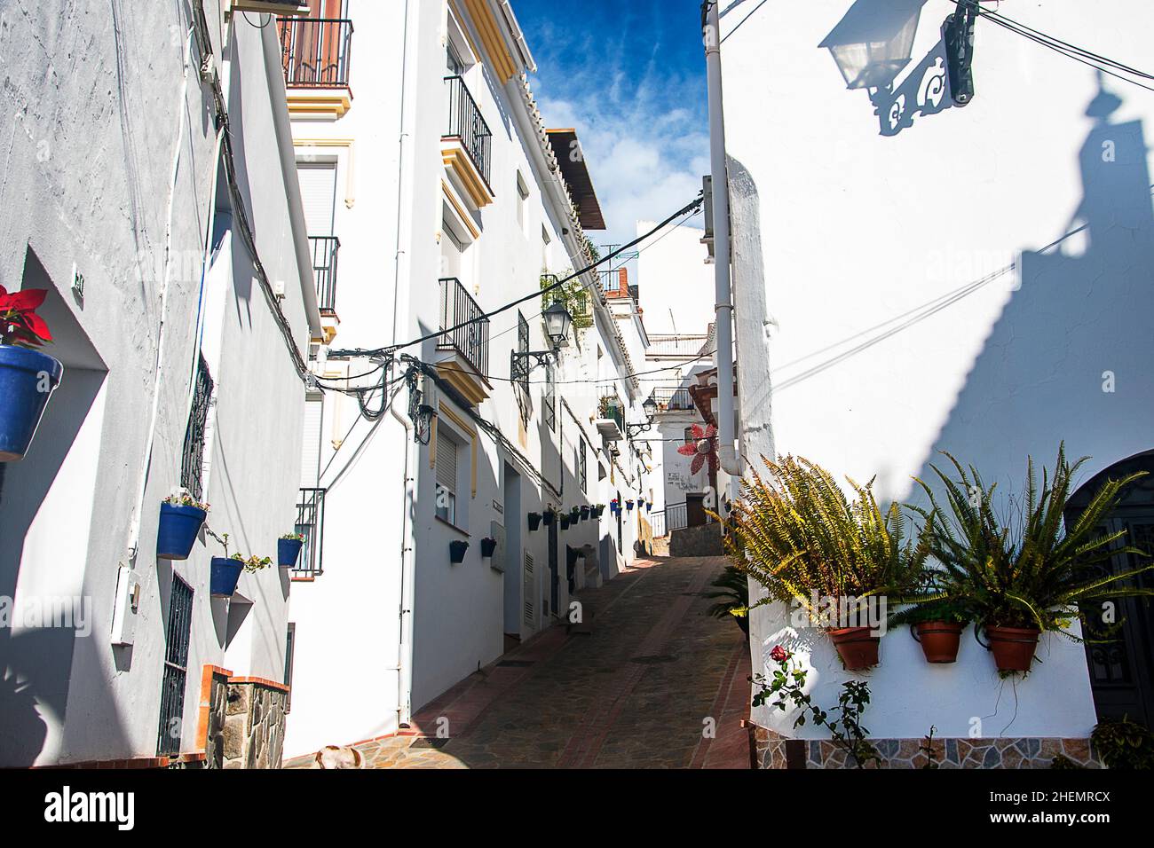 Canillas de Albaida is a town in the province of Málaga,Spain. It forms  part of the “Sun and Wine Route” in the Axarquía region Stock Photo - Alamy