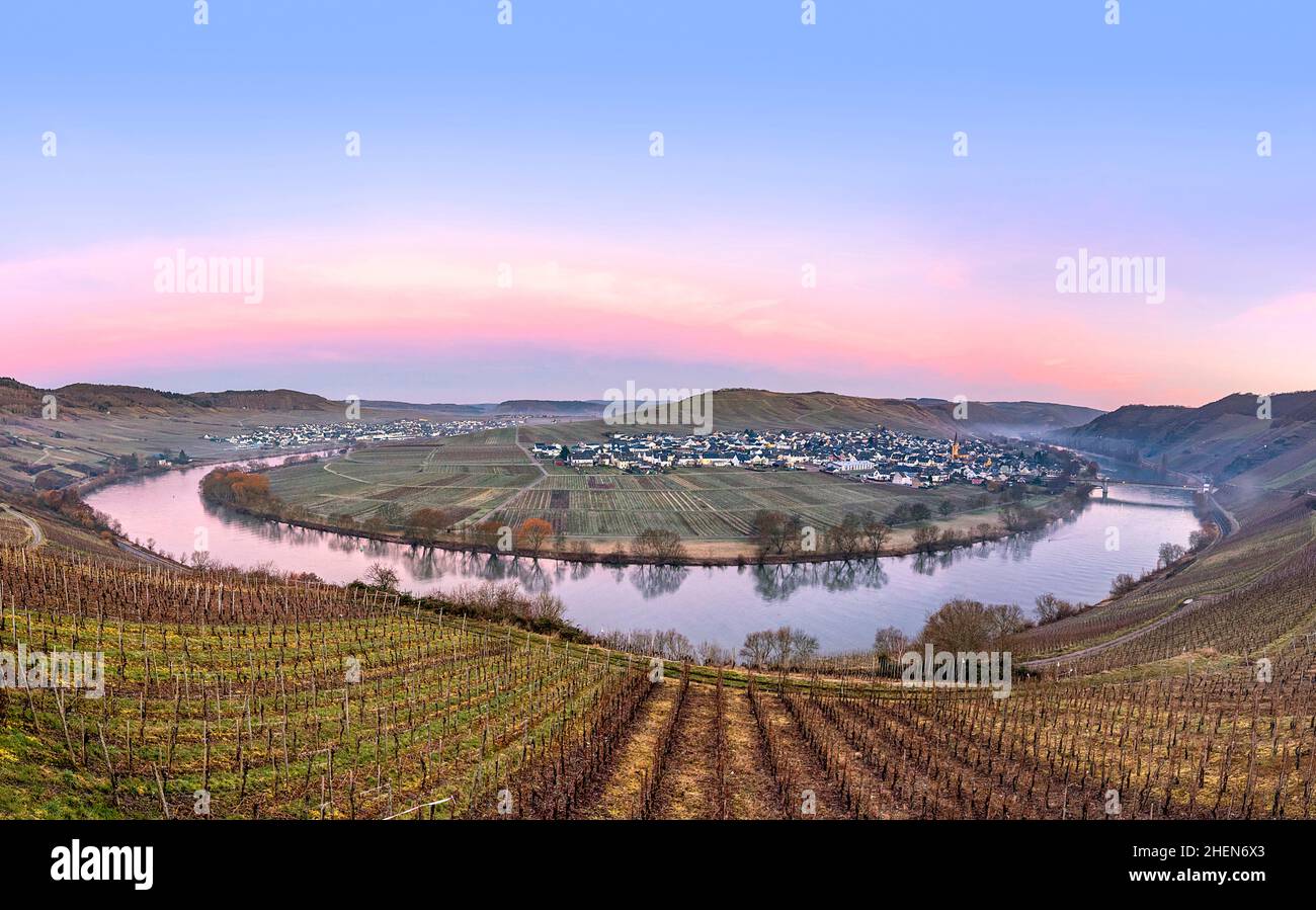 scenic moselle river loop with village Trittenheim seen from Leiwen ...