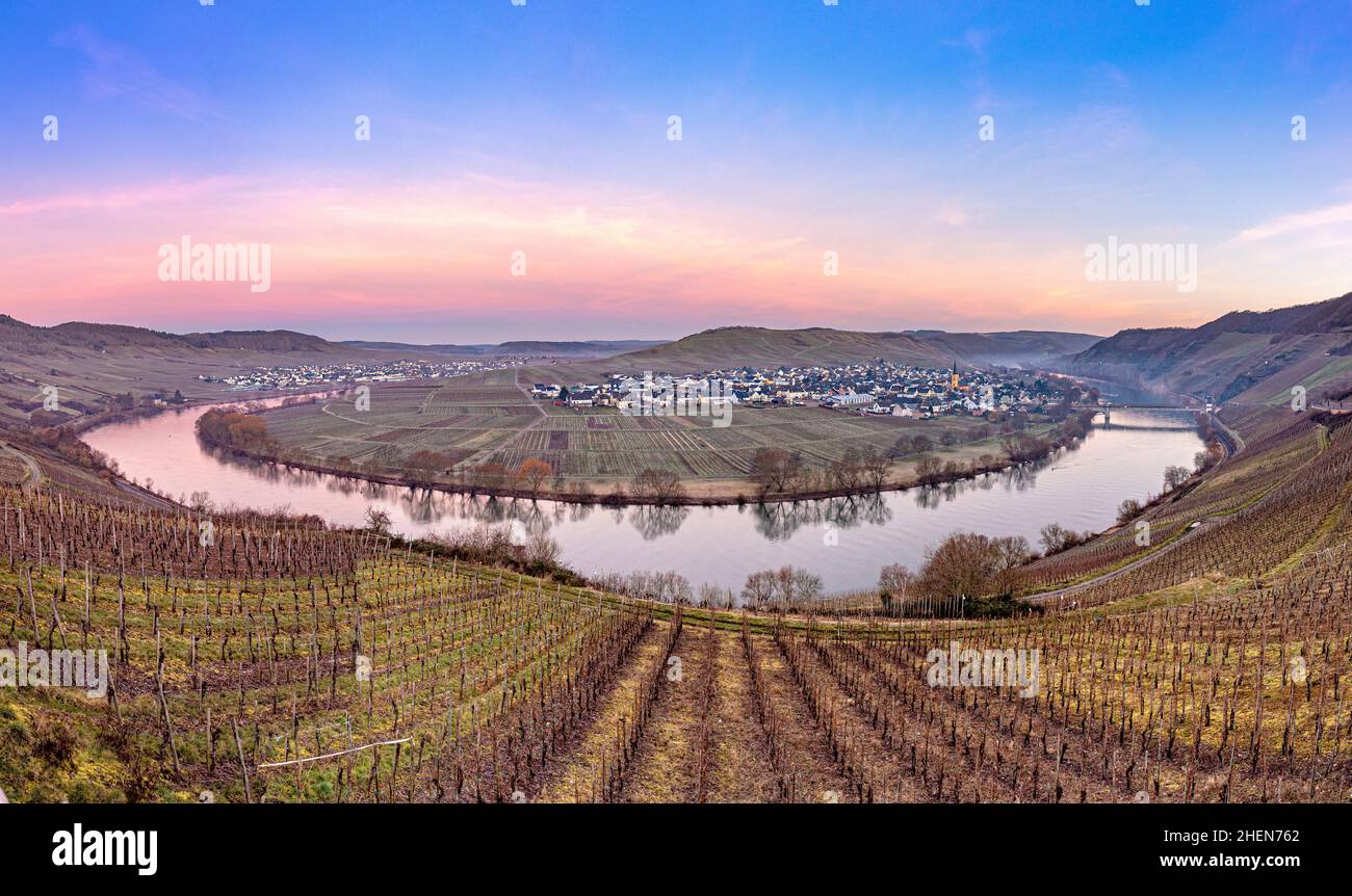 scenic moselle river loop with village Trittenheim seen from Leiwen ...