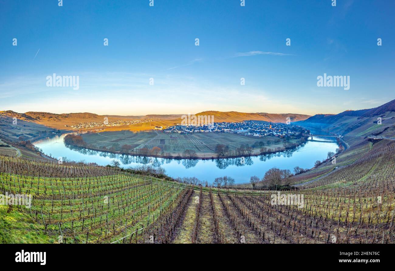 scenic moselle river loop with village Trittenheim seen from Leiwen ...