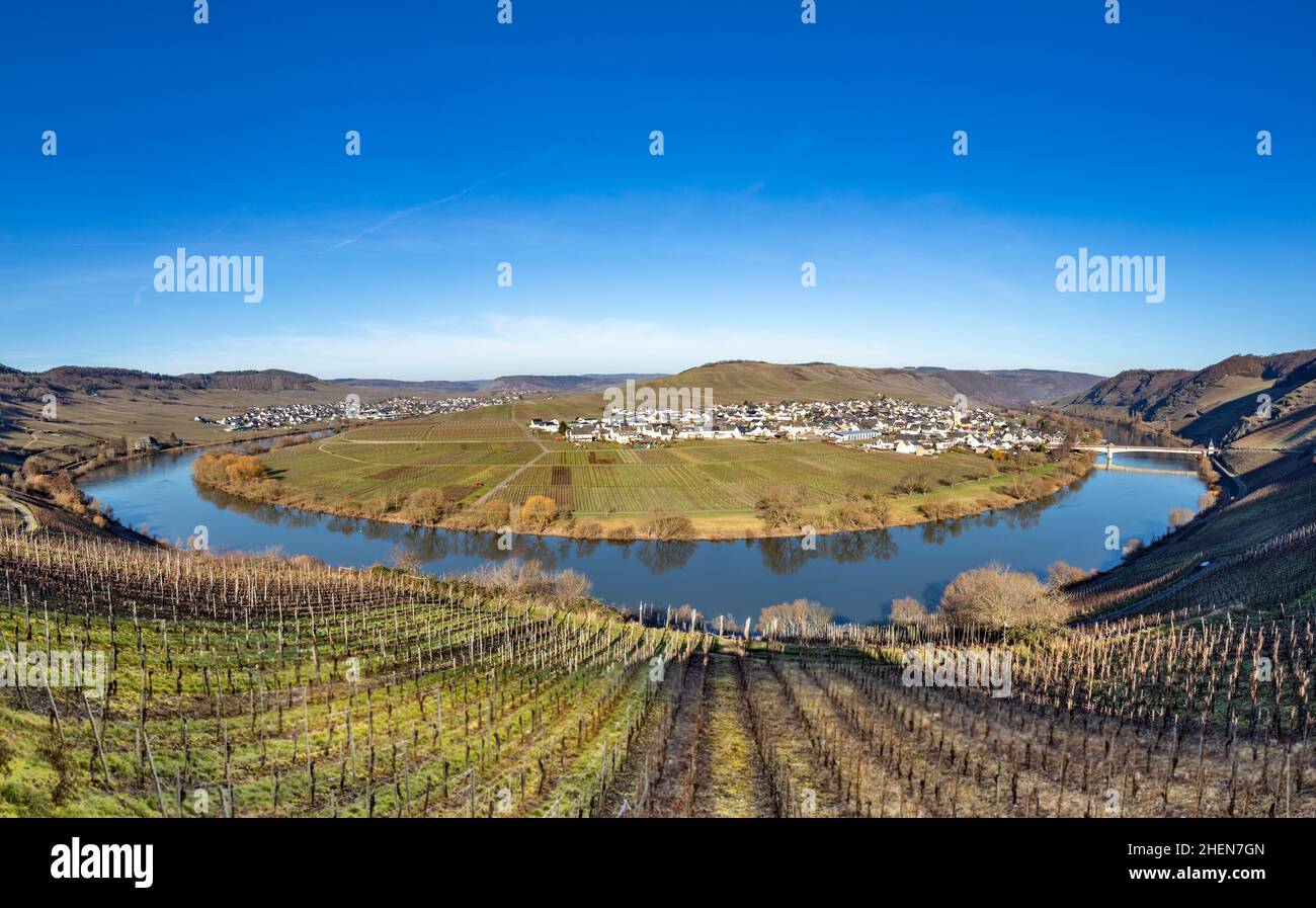 scenic moselle river loop with village Trittenheim seen from Leiwen ...