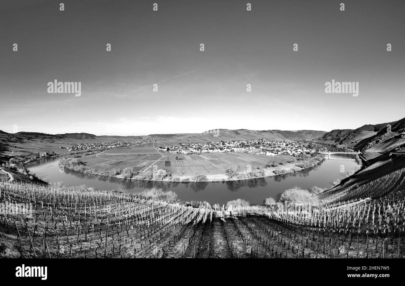 scenic moselle river loop with village Trittenheim seen from Leiwen ...