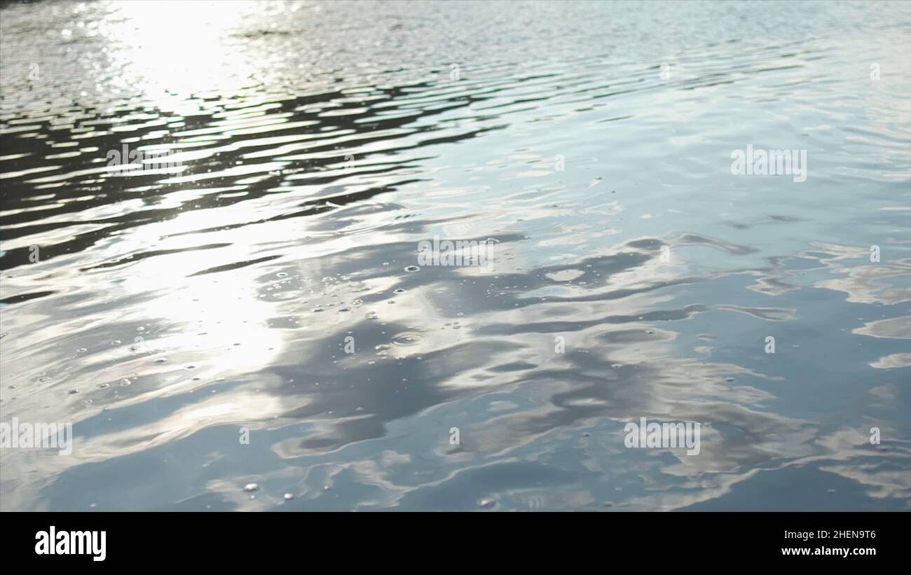 Rivers With Ripples Calm River Ripples Water Ripples From A Stone Thrown Into A Calm River