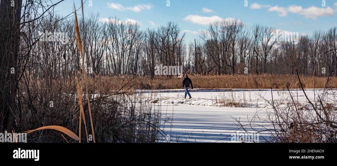 Harrison Twp., Michigan - A man hikes on the nature trails at Lake St. Clair Metropark. Stock Photo