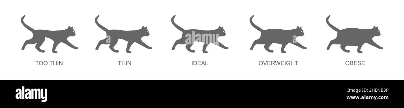 Cat body condition chart. Silhouettes of domestic animals with normal ...