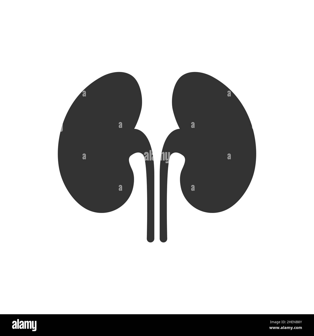 Kidney vector renal care icon. Urology kidney black icon logo flat ...