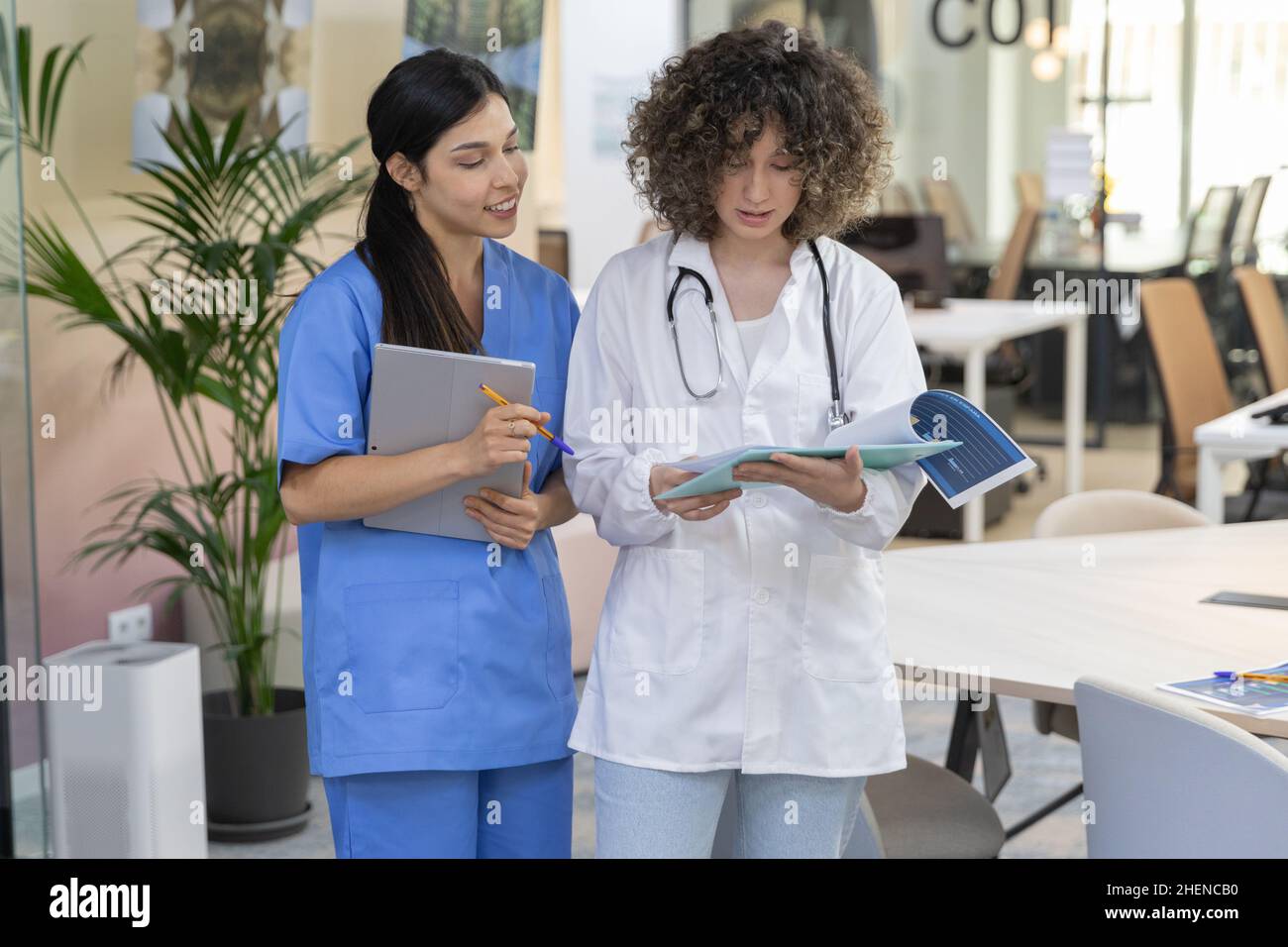 Concentrated female doctor with curly hair talking with a nurse and looking at paperwork. Stock Photo