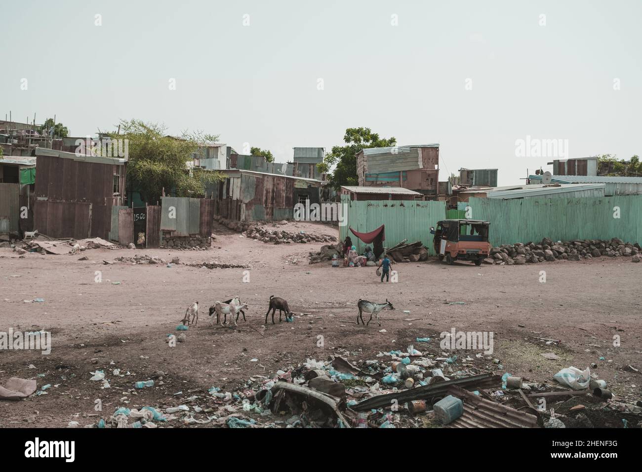 Djibouti, Djibouti - May 21, 2021: A small and poor shack town in Djibouti. Women sitting under a tent. Animals looking for food. Editorial shot in Dj Stock Photo