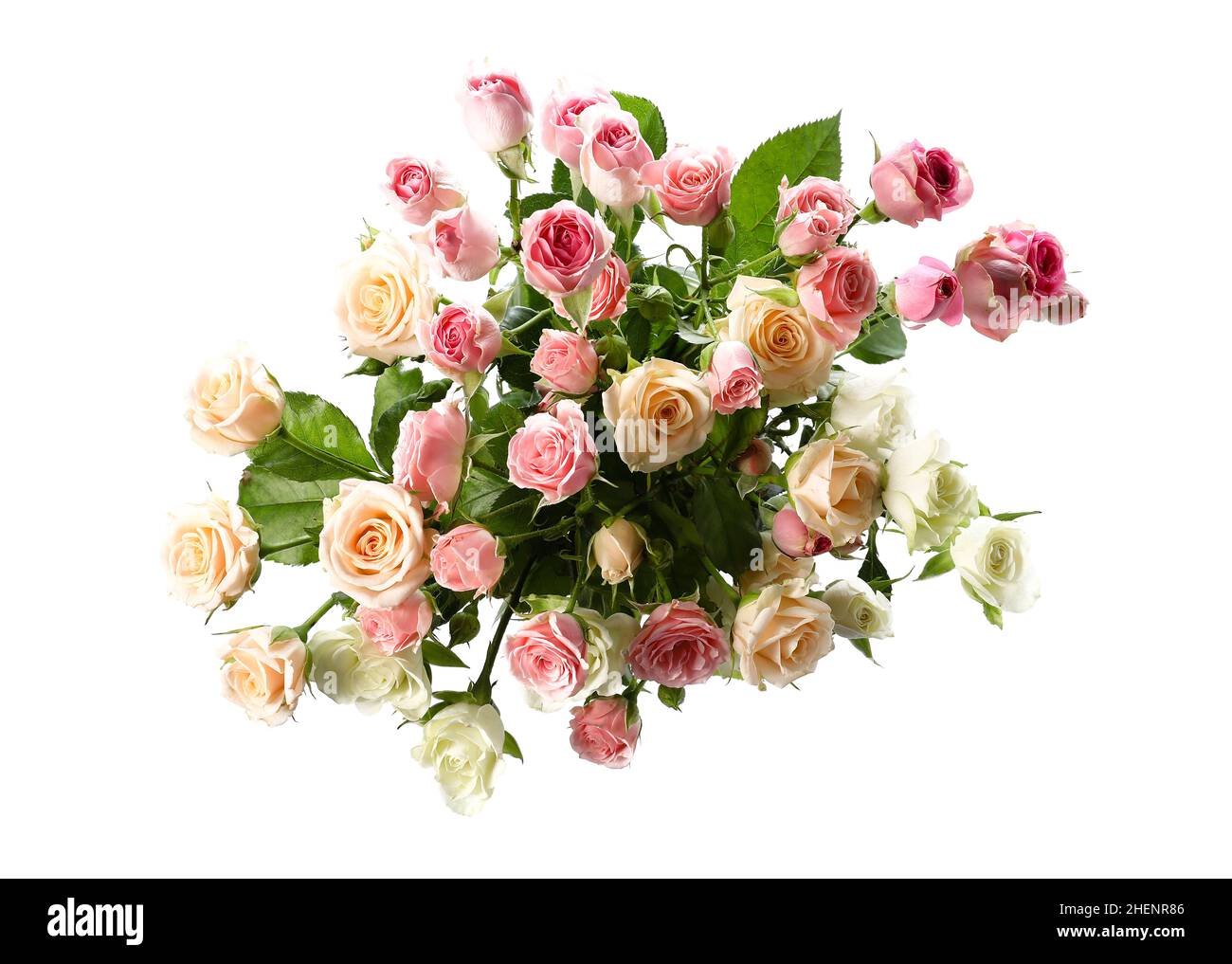 Bouquet of beautiful fresh roses on white background Stock Photo - Alamy